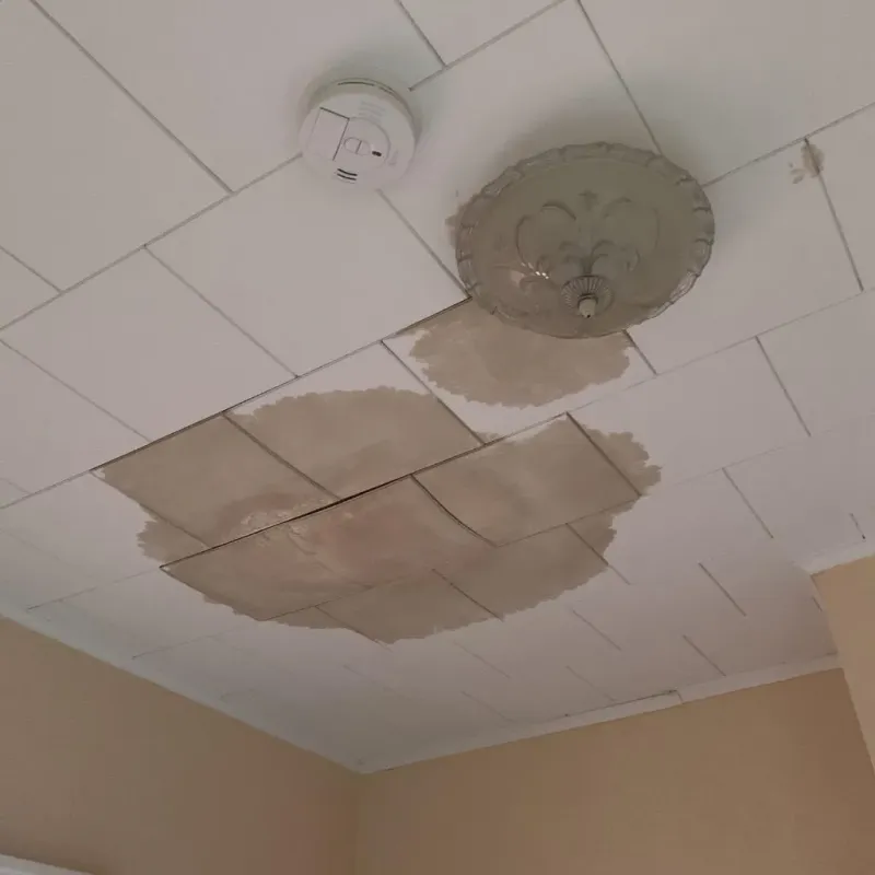 Ceiling Water Damage Repair in Everett, PA