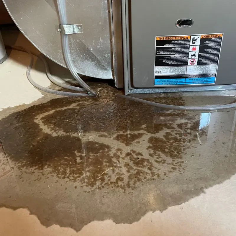 Pipe Burst and Leak Restoration in Everett, PA