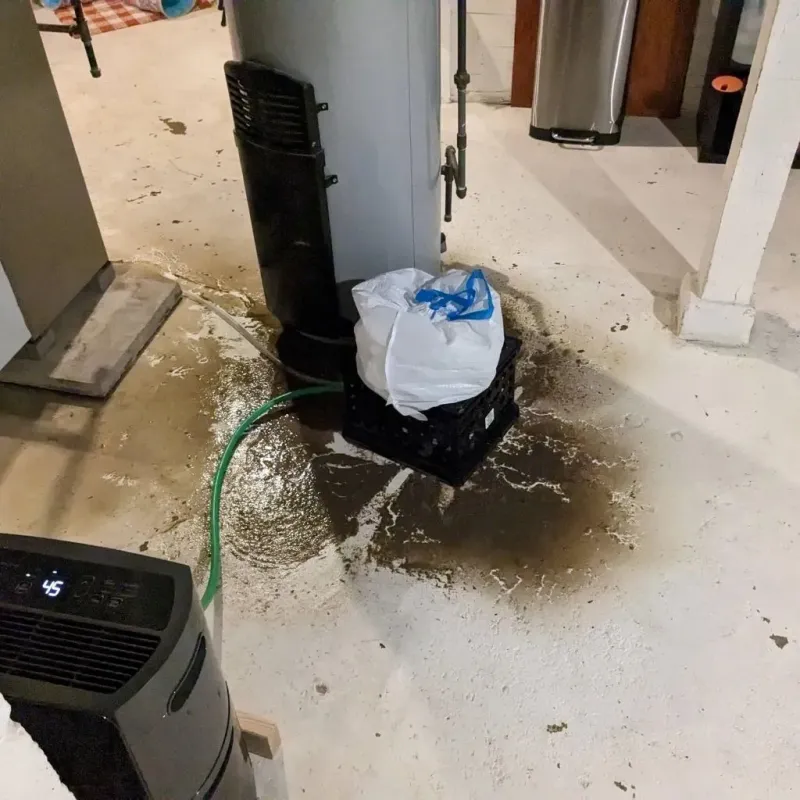 Sewage Backup Cleanup Service in Everett, PA
